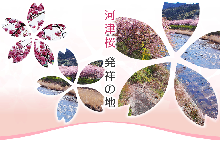 河津桜 発祥の地