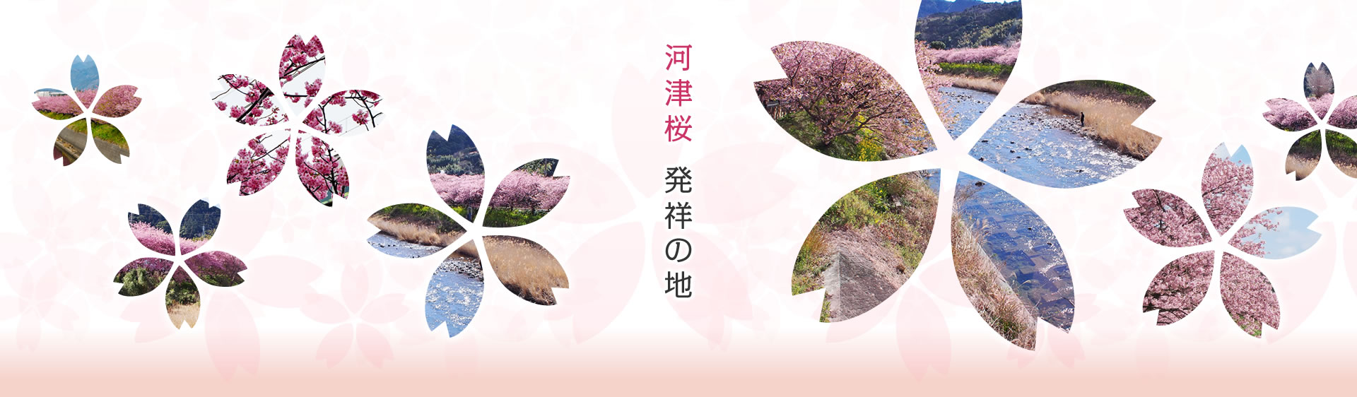 河津桜 発祥の地
